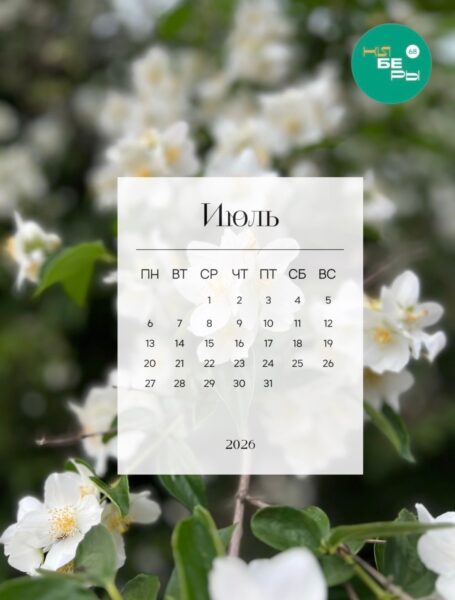 Новые июльские обои на телефон от киберов