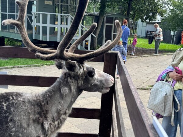 На "Городской ферме" на ВДНХ прошло мероприятие с обзором новых обитателей и гигантской тыквы-рекордсмена