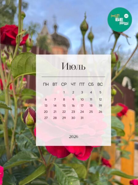 Новые июльские обои на телефон от киберов