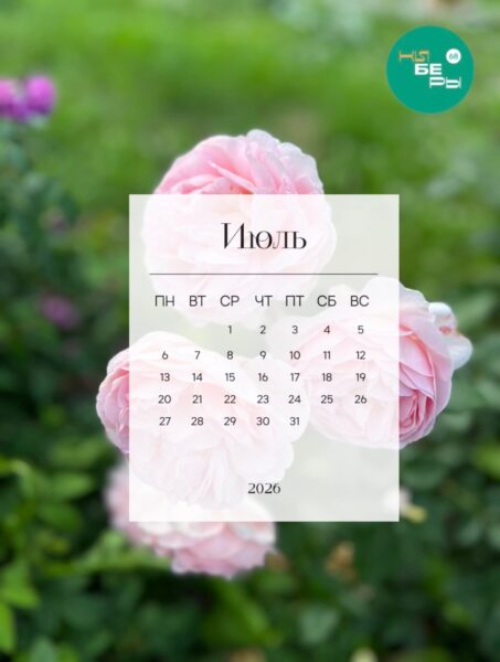 Новые июльские обои на телефон от киберов