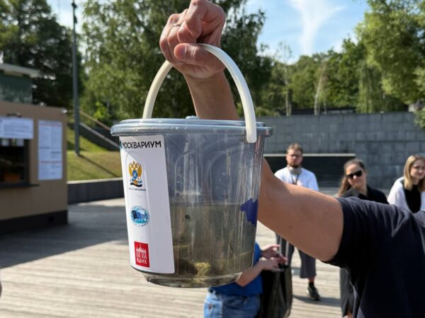 «Москвариум» отпраздновали день рождения: зарыбление пруда карпами и экскурсия по океанариуму